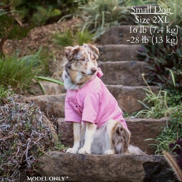 Small Breed Size 2XL Pink Raincoat with Grey and White Pinstripe Lining - Picture 4 of 9